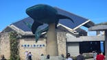 沖縄美ら海水族館に投稿された画像（2024/10/17）
