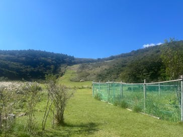 今井浜フライングスクールに投稿された画像（2024/10/17）