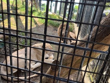 沖縄こどもの国に投稿された画像（2024/10/17）