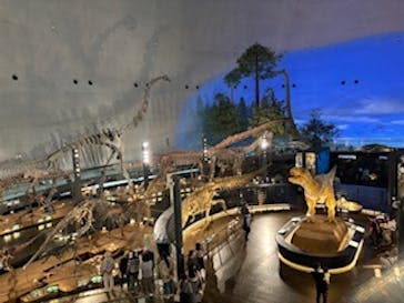 福井県立恐竜博物館に投稿された画像（2024/10/17）