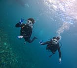 青の洞窟専門店　沖縄ダイビングショップ和に投稿された画像（2024/10/17）