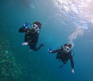 青の洞窟専門店　沖縄ダイビングショップ和に投稿された画像（2024/10/17）