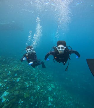 青の洞窟専門店　沖縄ダイビングショップ和に投稿された画像（2024/10/17）