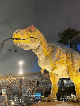 福井県立恐竜博物館に投稿された画像（2024/10/17）