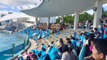 鴨川シーワールドに投稿された画像（2024/10/17）