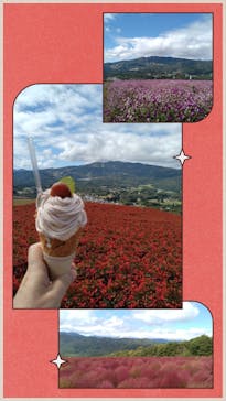 ひるがのピクニックガーデンに投稿された画像（2024/10/7）