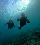 武藤潜水に投稿された画像（2024/10/17）