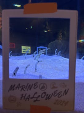 マリンワールド海の中道に投稿された画像（2024/10/17）