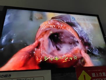 名古屋港水族館に投稿された画像（2024/10/17）