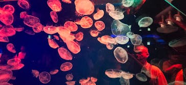 名古屋港水族館に投稿された画像（2024/10/17）