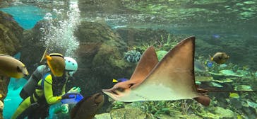 名古屋港水族館に投稿された画像（2024/10/17）