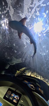 名古屋港水族館に投稿された画像（2024/10/17）