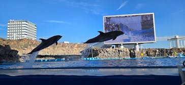 名古屋港水族館に投稿された画像（2024/10/17）