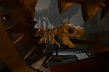 岐阜県博物館に投稿された画像（2024/10/17）