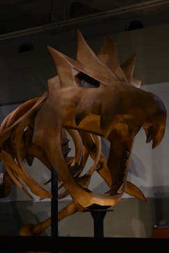 岐阜県博物館に投稿された画像（2024/10/17）