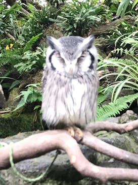 伊豆シャボテン動物公園に投稿された画像（2024/10/17）