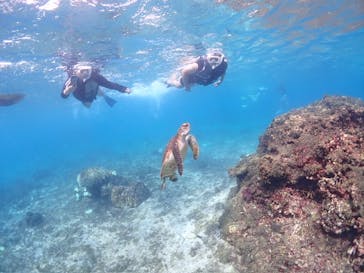 CHAMP TOUR　宮古島に投稿された画像（2024/10/17）