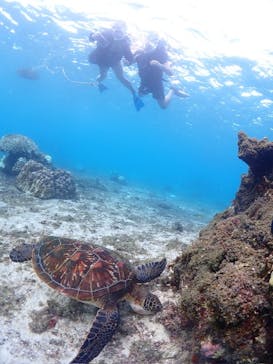 CHAMP TOUR　宮古島に投稿された画像（2024/10/17）