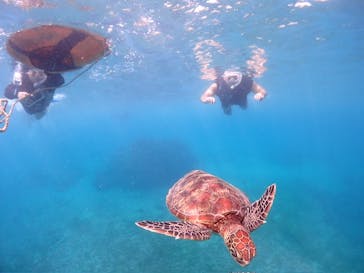 CHAMP TOUR　宮古島に投稿された画像（2024/10/17）