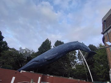 国立科学博物館に投稿された画像（2024/10/17）