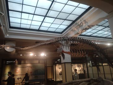 国立科学博物館に投稿された画像（2024/10/17）