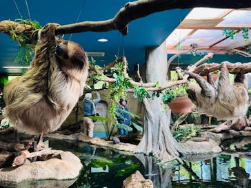 那須どうぶつ王国に投稿された画像（2024/10/17）