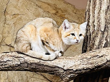 那須どうぶつ王国に投稿された画像（2024/10/17）