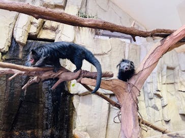 那須どうぶつ王国に投稿された画像（2024/10/17）