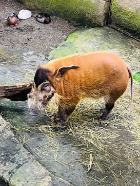 那須どうぶつ王国に投稿された画像（2024/10/17）