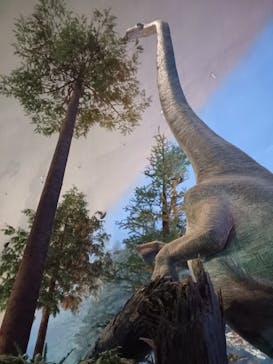 福井県立恐竜博物館に投稿された画像（2024/10/17）