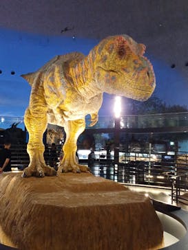 福井県立恐竜博物館に投稿された画像（2024/10/17）