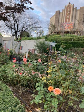 西武園ゆうえんちに投稿された画像（2024/10/17）