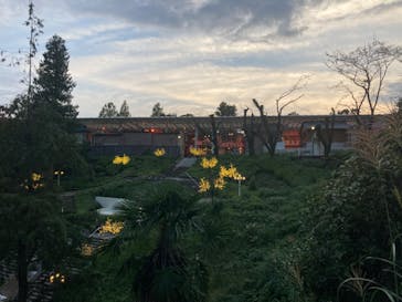 西武園ゆうえんちに投稿された画像（2024/10/17）