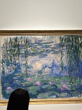 モネ 睡蓮のとき（国立西洋美術館）に投稿された画像（2024/10/17）