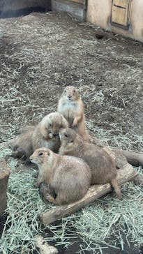 横浜・八景島シーパラダイスに投稿された画像（2024/10/17）