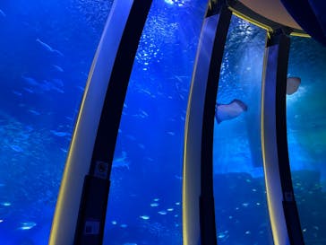 横浜・八景島シーパラダイスに投稿された画像（2024/10/17）