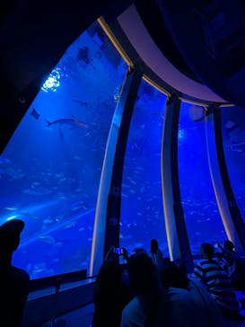 横浜・八景島シーパラダイスに投稿された画像（2024/10/17）