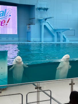 横浜・八景島シーパラダイスに投稿された画像（2024/10/17）