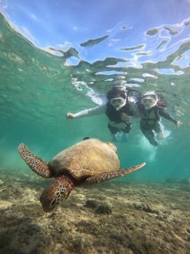 nico 宮古島に投稿された画像（2024/10/17）