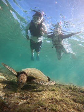 nico 宮古島に投稿された画像（2024/10/17）