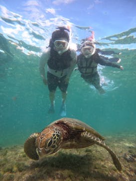 nico 宮古島に投稿された画像（2024/10/17）