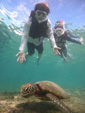 nico 宮古島に投稿された画像（2024/10/17）