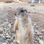 那須どうぶつ王国に投稿された画像（2024/10/17）