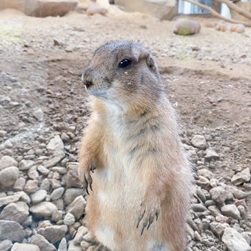 那須どうぶつ王国に投稿された画像（2024/10/17）