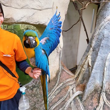 那須どうぶつ王国に投稿された画像（2024/10/17）