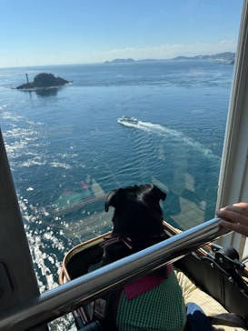 徳島県立 渦の道に投稿された画像（2024/10/17）