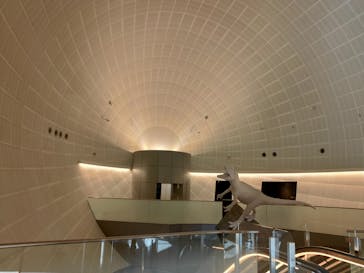 福井県立恐竜博物館に投稿された画像（2024/10/17）