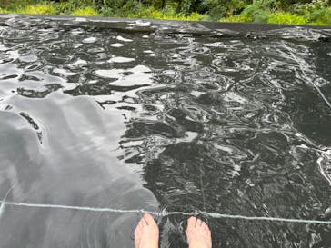 彫刻の森美術館に投稿された画像（2024/10/17）