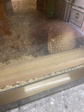 恩賜上野動物園に投稿された画像（2024/10/17）