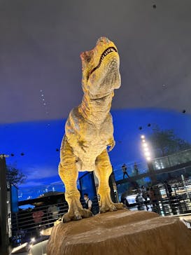 福井県立恐竜博物館に投稿された画像（2024/10/17）